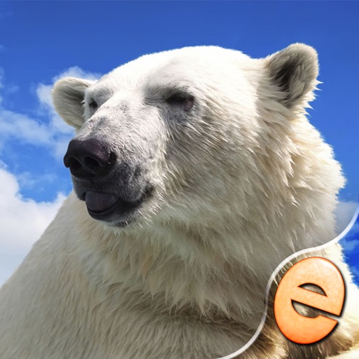 Jigsaw Wonder Polar Bears