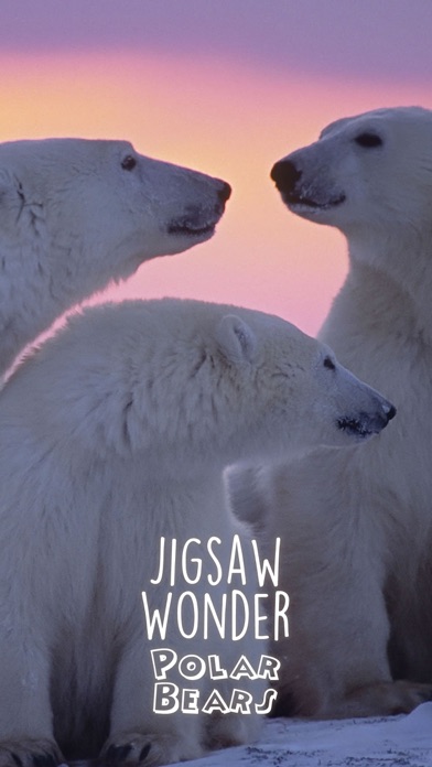 Jigsaw Wonder Polar Bears screenshot 1