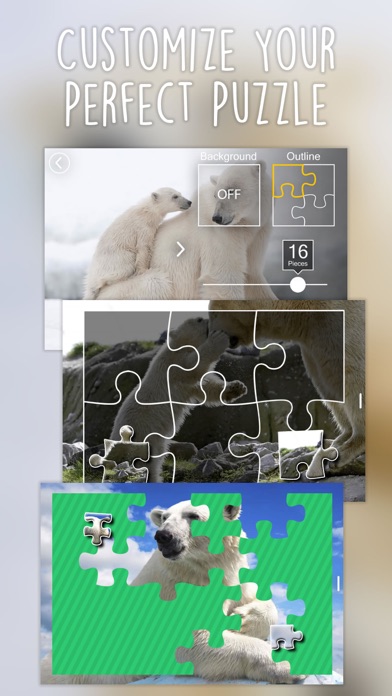 Jigsaw Wonder Polar Bears screenshot 2
