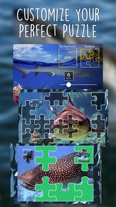 Jigsaw Wonder Sharks screenshot 1