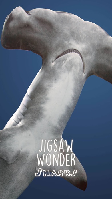 Jigsaw Wonder Sharks screenshot 2