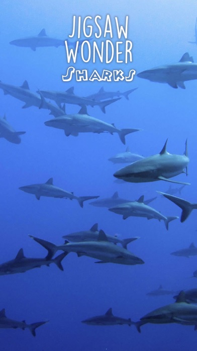 Jigsaw Wonder Sharks screenshot 3