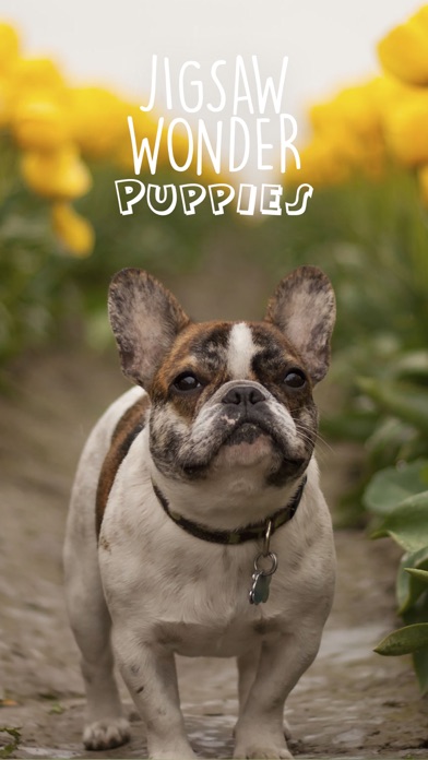 Jigsaw Wonder Puppies screenshot 1