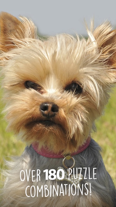 Jigsaw Wonder Puppies screenshot 2