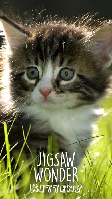 Jigsaw Wonder Kittens screenshot 1