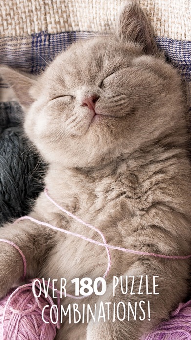 Jigsaw Wonder Kittens screenshot 2