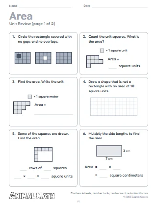 3rd Grade Area Unit Review