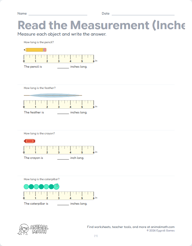 Measurement - Ruler (Inches)